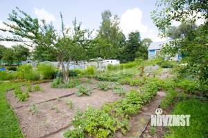 Дача 35м², 1-этажный, участок 5 сот.