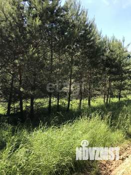 Дом 83м&sup2;, 2-этажный, участок 16 сот.  