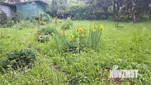 Дом 42м&sup2;, 1-этажный, участок 8 сот.  