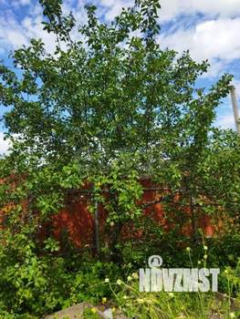 Дача 50м&sup2;, 1-этажный, участок 5 сот.  