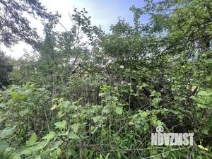 Дом 21м&sup2;, 1-этажный, участок 4 сот.  