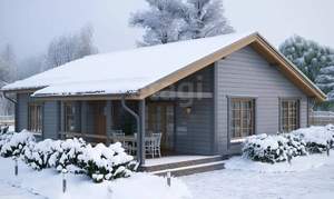 Дом 49м&sup2;, 1-этажный, участок 6 сот.  