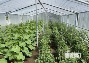 Дом 204м&sup2;, 2-этажный, участок 12 сот.  