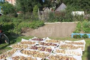 Дом 43м&sup2;, 1-этажный, участок 5 сот.  