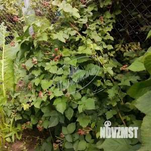 Дача 26м&sup2;, 2-этажный, участок 4 сот.  