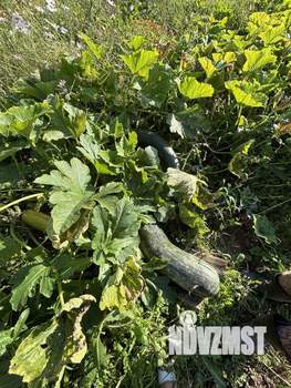 Дача 25м&sup2;, 1-этажный, участок 7 сот.  