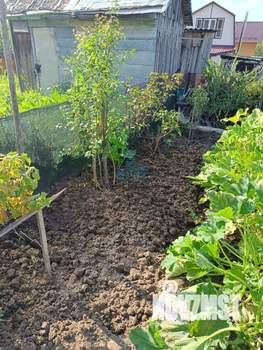 Дача 47м&sup2;, 1-этажный, участок 5 сот.  