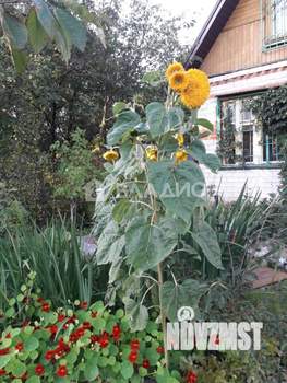 Дом 121м&sup2;, 2-этажный, участок 10 сот.  