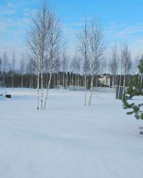 Дом 69м&sup2;, 1-этажный, участок 9 сот.  