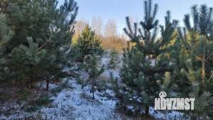 Дом 105м&sup2;, 1-этажный, участок 15 сот.  