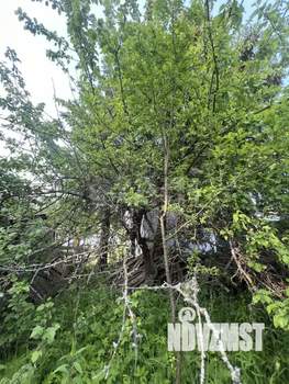 Дом 21м&sup2;, 1-этажный, участок 4 сот.  