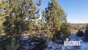 Дом 105м&sup2;, 1-этажный, участок 15 сот.  