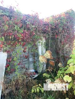 Дом 20м&sup2;, 1-этажный, участок 5 сот.  