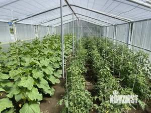 Дом 204м&sup2;, 2-этажный, участок 12 сот.  