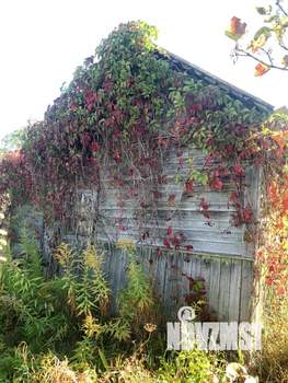 Дом 20м&sup2;, 1-этажный, участок 5 сот.  