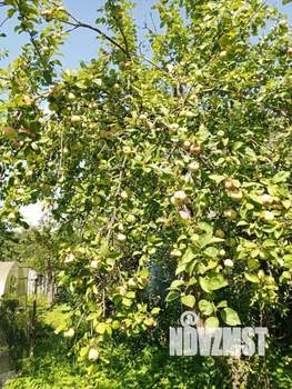 Дача 20м&sup2;, 1-этажный, участок 6 сот.  