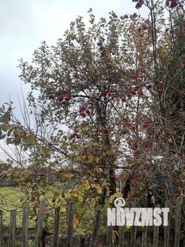 Дом 25м&sup2;, 1-этажный, участок 8 сот.  