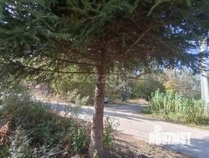 Дом 25м&sup2;, 1-этажный, участок 4 сот.  