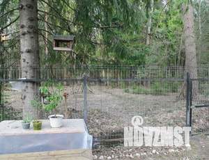 Дача 107м&sup2;, 1-этажный, участок 6 сот.  