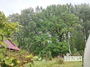 Дача 28м&sup2;, 1-этажный, участок 5 сот.  