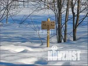 Дом 150м&sup2;, 2-этажный, участок 10 сот.  