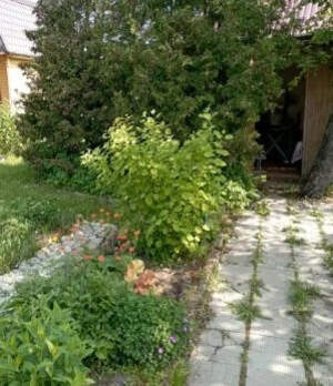 Дом 30м&sup2;, 1-этажный, участок 5 сот.  