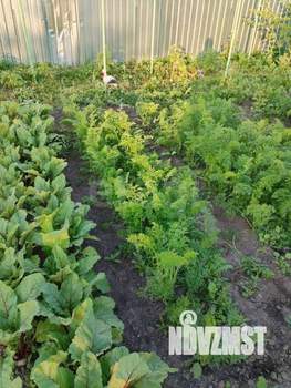 Дом 30м&sup2;, 1-этажный, участок 20 сот.  