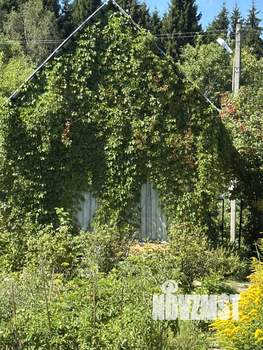 Дом 21м&sup2;, 1-этажный, участок 4 сот.  