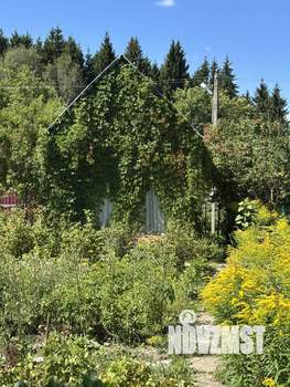 Дом 21м&sup2;, 1-этажный, участок 4 сот.  