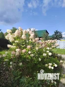 Дом 106м&sup2;, 2-этажный, участок 8 сот.  