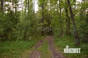 Дача 50м², 2-этажный, участок 7 сот.  