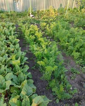 Дом 30м&sup2;, 2-этажный, участок 20 сот.  