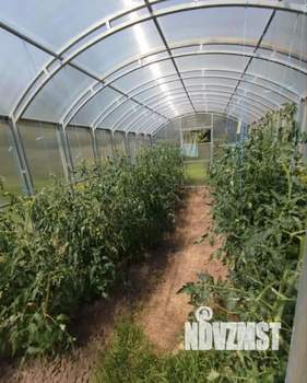 Дача 26м&sup2;, 1-этажный, участок 6 сот.  