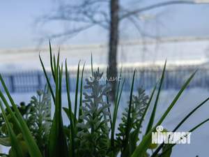 Дом 222м&sup2;, 2-этажный, участок 15 сот.  