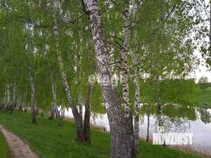 Дом 65м&sup2;, 1-этажный, участок 5 сот.  