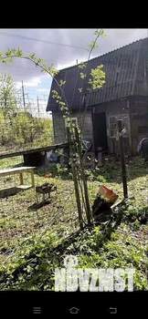 Дача 40м&sup2;, 2-этажный, участок 5 сот.  