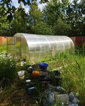 Дом 50м&sup2;, 1-этажный, участок 5 сот.  