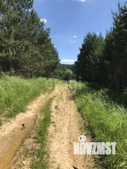 Дом 83м&sup2;, 2-этажный, участок 16 сот.  