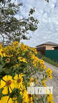 Дом 120м&sup2;, 1-этажный, участок 7 сот.  