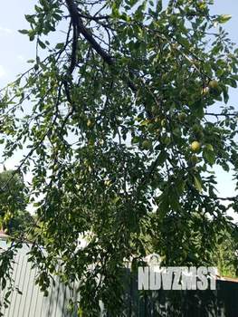 Дача 20м&sup2;, 1-этажный, участок 6 сот.  