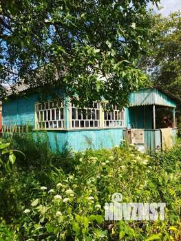 Дача 50м&sup2;, 1-этажный, участок 5 сот.  