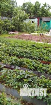 Дача 25м&sup2;, 1-этажный, участок 5 сот.  