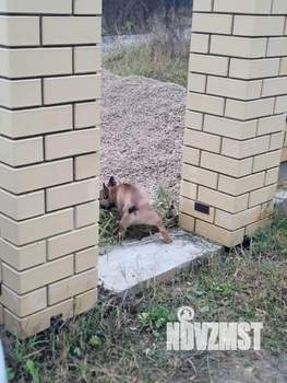 Дом 210м&sup2;, 1-этажный, участок 8 сот.  