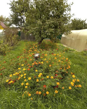 Дом 30м&sup2;, 1-этажный, участок 5 сот.  