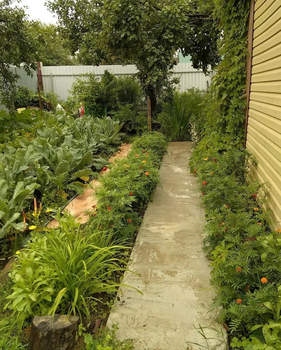 Дом 30м&sup2;, 1-этажный, участок 5 сот.  