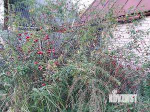 Дом 15м&sup2;, 2-этажный, участок 6 сот.  