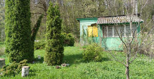 Дача 25м², 1-этажный, участок 6 сот.  