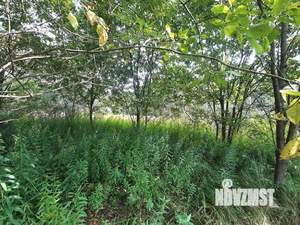 Дача 24м&sup2;, 2-этажный, участок 8 сот.  