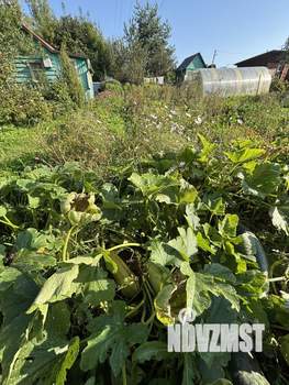 Дача 25м&sup2;, 1-этажный, участок 7 сот.  