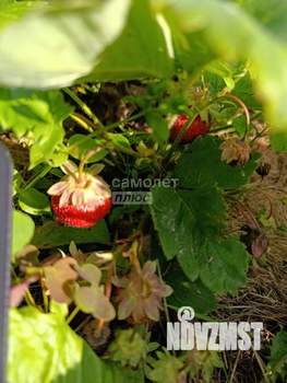 Дача 54м&sup2;, 2-этажный, участок 6 сот.  